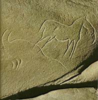France, Dordogne, Cussac, Grotte, Cheval grave (Photo Sud-Ouest)